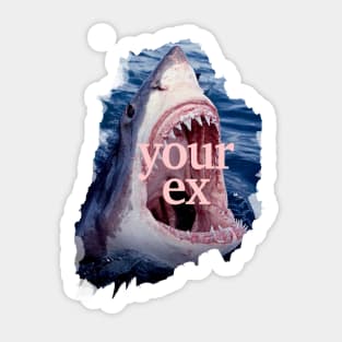 Your Ex in Shark Sticker